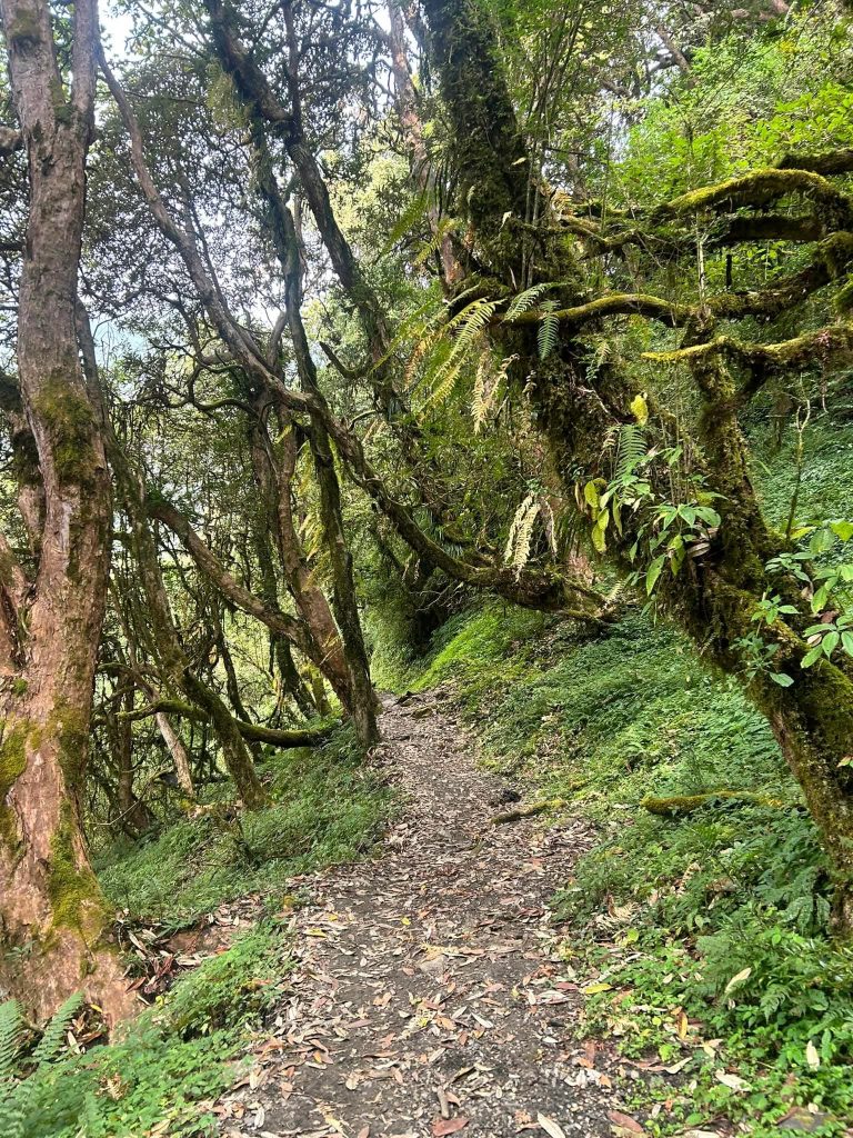 Ghorepani Muldai Viewpoint Trek Package
