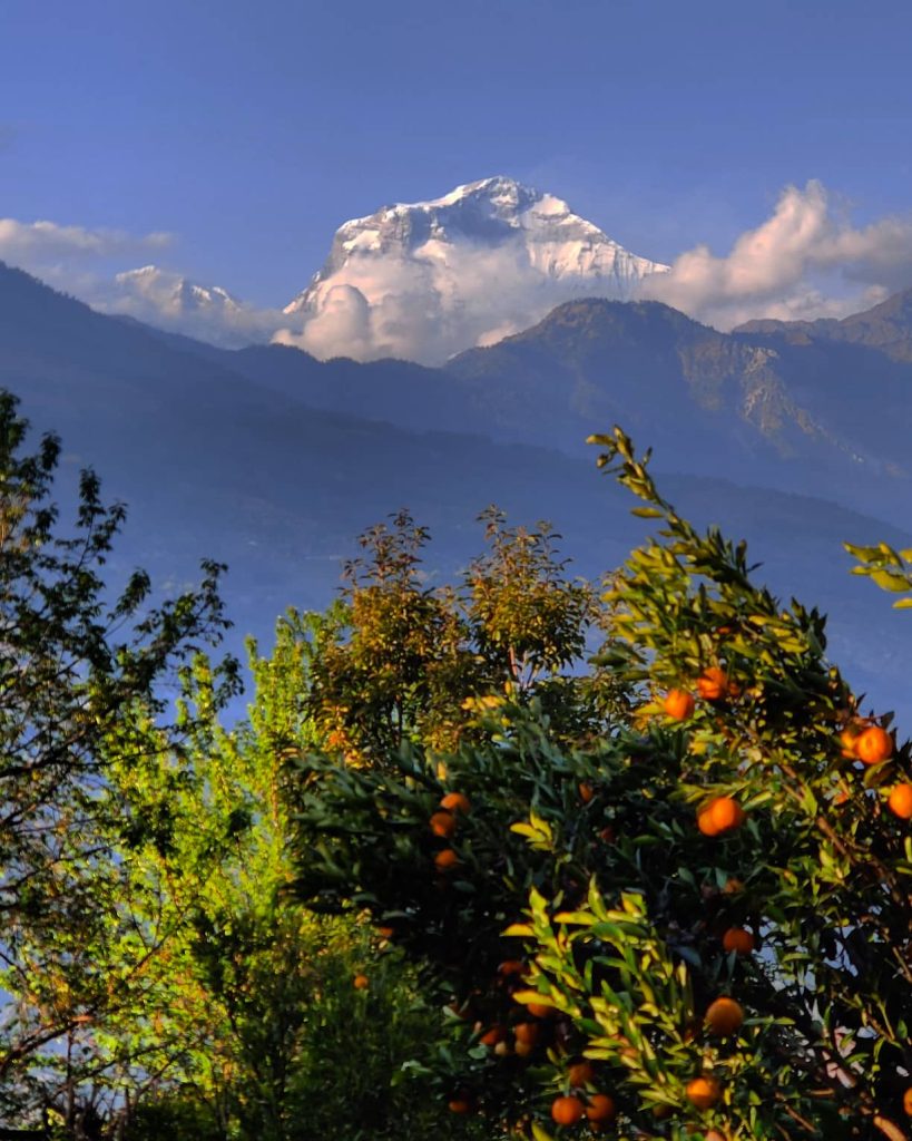 Annapurna Eco-Community Trek Package