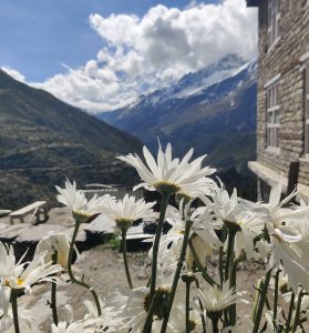 Annapurna Circuit Trek