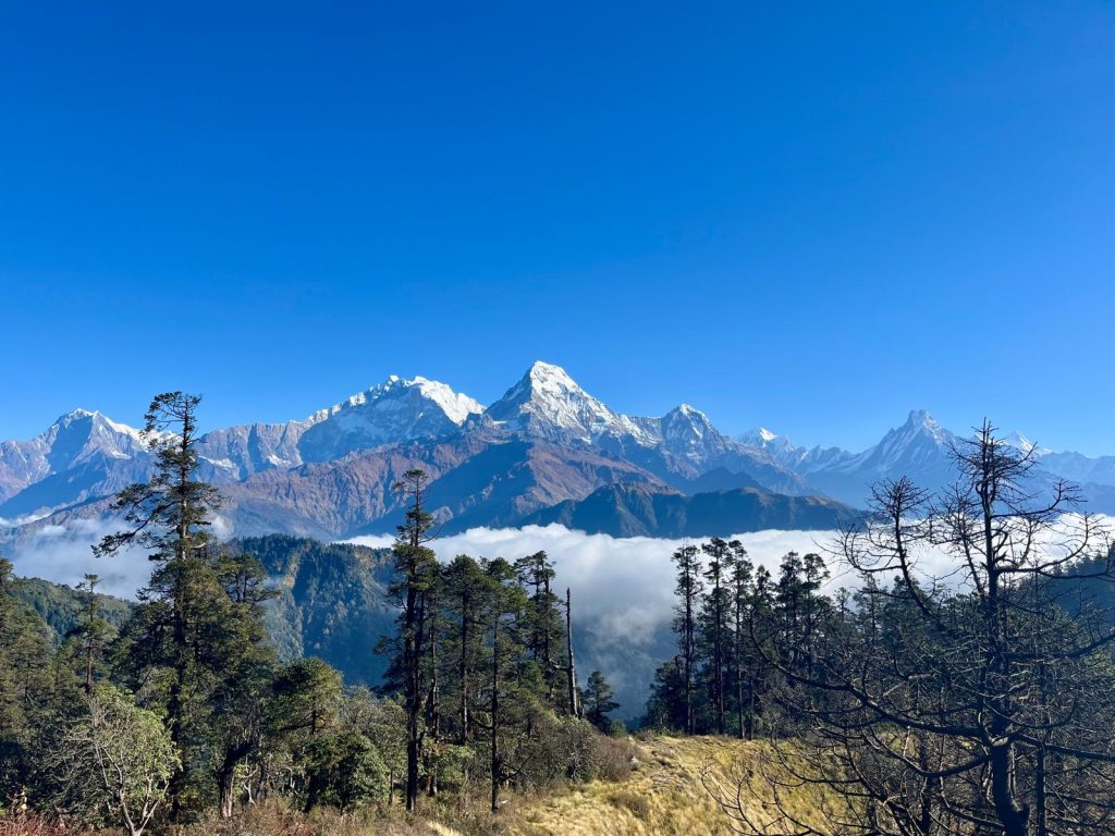 Best Trekking Destinations in Nepal